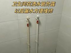 -大树装饰·十年本土家装