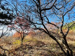 -北京西山国家森林公园