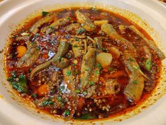 情妹耙泥鳅-情妹耙泥鳅·江湖川菜(科华店)