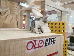 -吾悦广场(天津和平店)