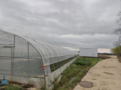 -米果果小镇