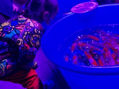 -华声天桥民俗文化园