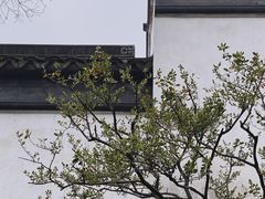 -拙政园