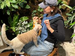 -自由生长植物工作室(深港花卉中心店)