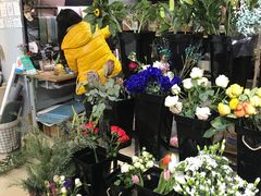 -ChaKo Flora ·茶子花艺 (市北店)