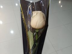 -麦当劳(未来城购物中心店)