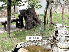 -卧龙中华大熊猫苑神树坪基地