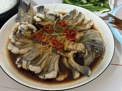 -煲来饱去冷水鱼