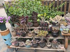 -陌上花开主题餐厅