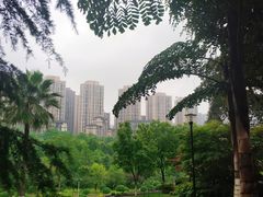 -龙头寺公园