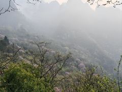 -武当山风景区