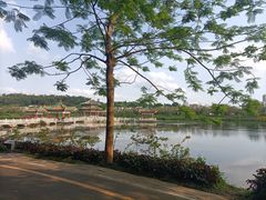 -星湖旅游景区七星岩