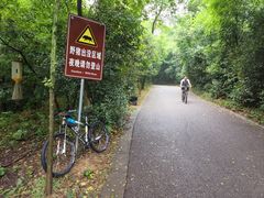 -紫金山山顶公园