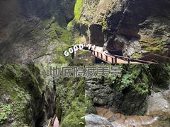 -牛背梁国家森林公园
