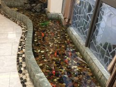 -金熙楼(熙南里店)