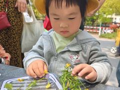 -豆初托育园 Baby Bean Day care Center