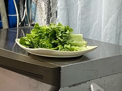 -东鸽皇(奥园·中环广场店)