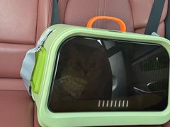 -派特宠物医院(圆融广场店)