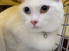 -佳雯宠物医院(四明中路分院)