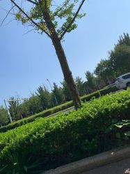 -HEYAN长风荷妍专业脱毛美肤
