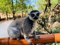 -北京野生动物园