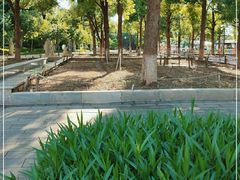-仙岳公园