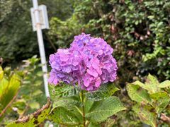 -鼓岭旅游度假区