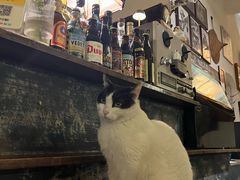 -旧天堂书店(华侨城创意文化园南山特色文化街区店)