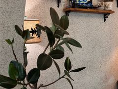 -绿房子方寸咖啡(星海名城店)