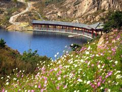 -天马岛度假区