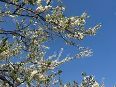 -名花谷生态庄园