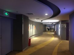 -德呈华业影城(爱琴海LUXE巨幕店)