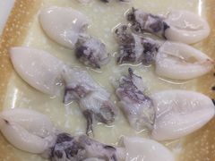 鱿鱼-顺德哥卜卜贝(旗舰店)