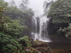 -眉山湿地公园(东坡区)