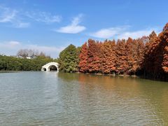 -上海海湾国家森林公园