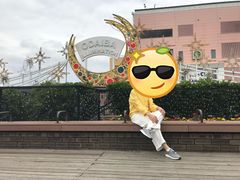 -台场海滨公园船码头