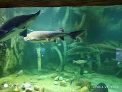 -华夏文旅海洋公园