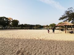 -上海佘山世茂艾美酒店