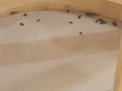 -阿信土煮大排档(太阳城店)