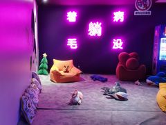 -VS SPORTS PARK运动玩乐园·团建·生日会(合生汇店)