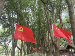 -洪湖生态旅游区