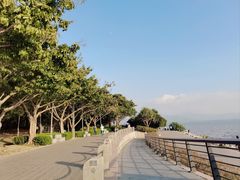 -深圳湾公园(南山区)
