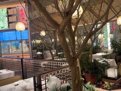 -桂满陇·海市蜃楼·黑金(国金店)