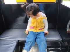 -金鸡湖桃花岛