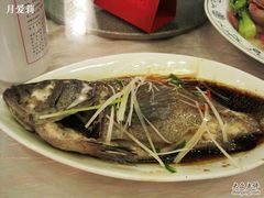 清蒸石斑鱼-上海安亭别墅花园酒店