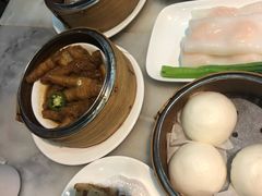 -糖朝(尖沙咀店)