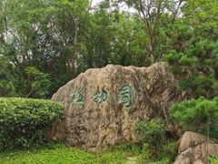 -渡海小渔村.老辈日照菜