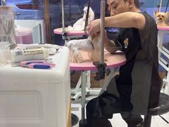 -FAELING PETS美天灵宠物(富力广场店)