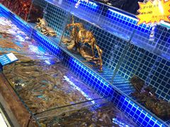 水产区-必点海鲜·鲅鱼水饺(鞍山西道店)