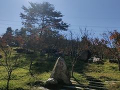 -广州市帽峰山景区